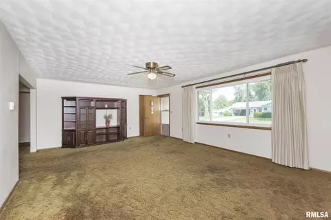 203 W 5th St, Minonk, IL 61760 photo 4