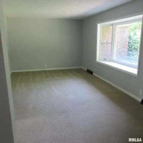23325 N Traer Ln, Cuba, IL 61427 photo 7