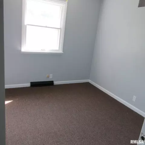 23325 N Traer Ln, Cuba, IL 61427 photo 4