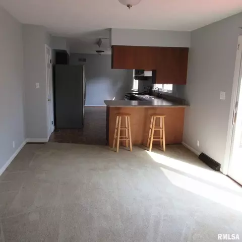 23325 N Traer Ln, Cuba, IL 61427 photo 9