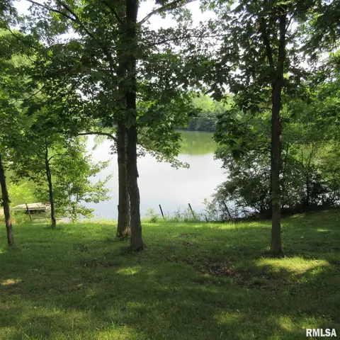 23325 N Traer Ln, Cuba, IL 61427 photo 20