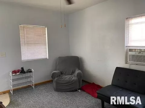 810 Elm St, Canton, IL 61520 photo 7