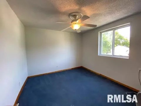 810 Elm St, Canton, IL 61520 photo 15