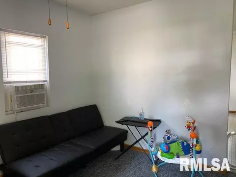 810 Elm St, Canton, IL 61520 photo 8
