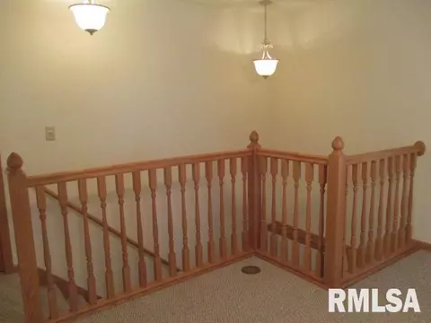 1114 Impala Dr, Henry, IL 61537 photo 9
