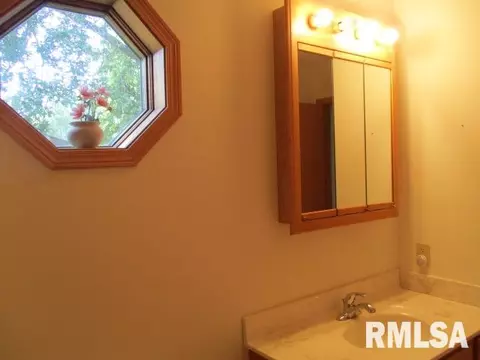 1114 Impala Dr, Henry, IL 61537 photo 12