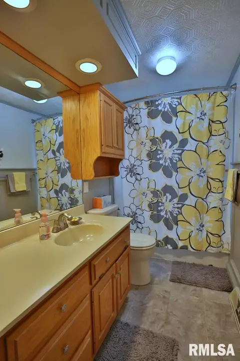 304 W Crow St, Eureka, IL 61530 photo 13
