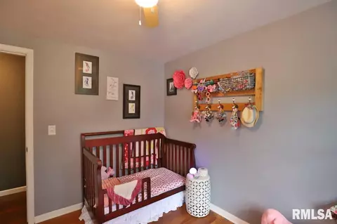 304 W Crow St, Eureka, IL 61530 photo 19
