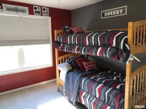 11520 N Ballymore Ave, Dunlap, IL 61525 photo 9