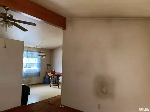 53 E Maple St, Canton, IL 61520 photo 7
