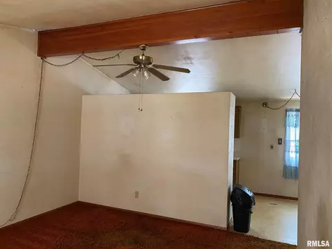 53 E Maple St, Canton, IL 61520 photo 6