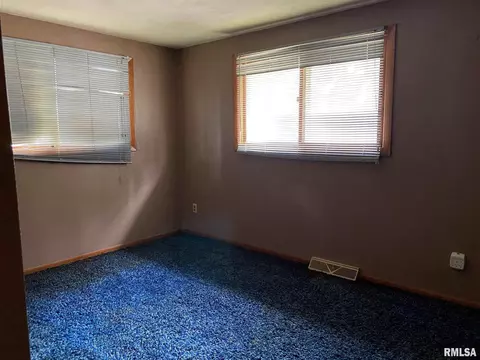 53 E Maple St, Canton, IL 61520 photo 12