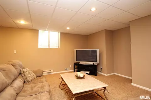 417 W Copperfield Dr, Dunlap, IL 61525 photo 34