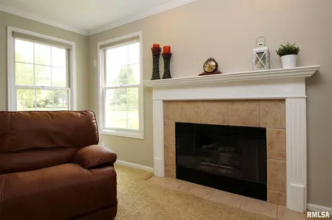 417 W Copperfield Dr, Dunlap, IL 61525 photo 9