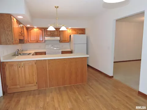 219 Scotch Pine Dr, Macomb, IL 61455 photo 12