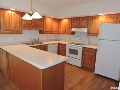 219 Scotch Pine Dr, Macomb, IL 61455 photo 9