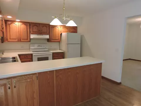 219 Scotch Pine Dr, Macomb, IL 61455 photo 11