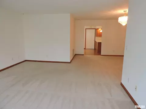 219 Scotch Pine Dr, Macomb, IL 61455 photo 5