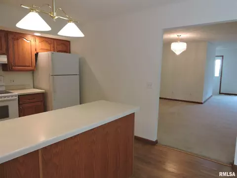 219 Scotch Pine Dr, Macomb, IL 61455 photo 13
