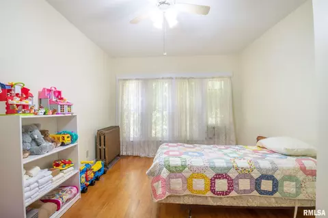 609 W 3rd St, Delavan, IL 61734 photo 40