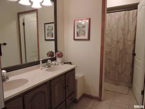 10412 E 1000th St, Macomb, IL 61455 photo 22