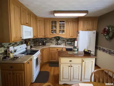 1440 E Locust St, Canton, IL 61520 photo 5