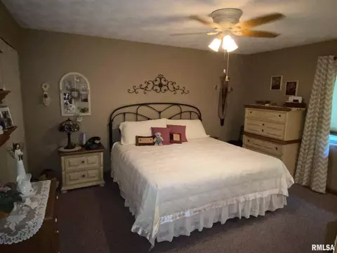 1440 E Locust St, Canton, IL 61520 photo 8