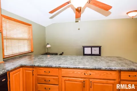106 W Pine St, Dunlap, IL 61525 photo 14
