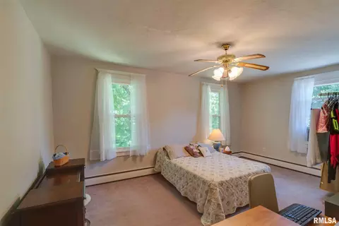 201 W Olive St, Minier, IL 61759 photo 19
