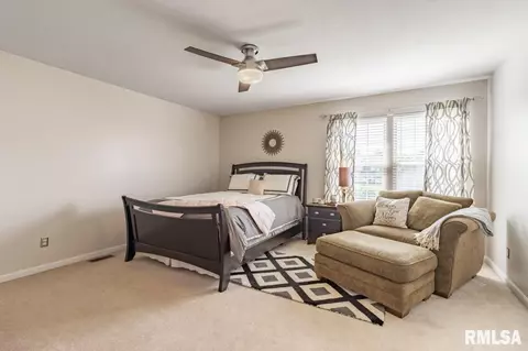 303 Cottingham St, Germantown Hills, IL 61548 photo 36