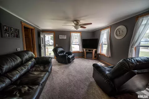 134 N Sage St, Oneida, IL 61467 photo 11