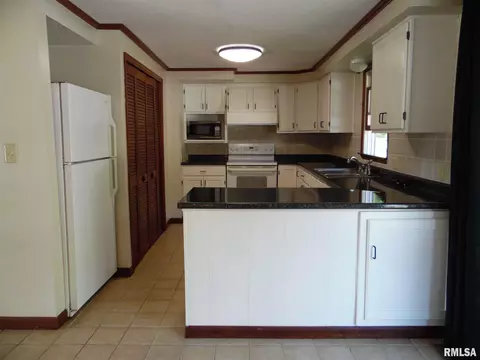 9503 Guinivere Dr, Mapleton, IL 61547 photo 9