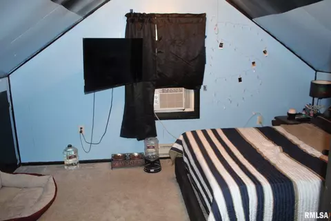 317 Park, Lacon, IL 61540 photo 14