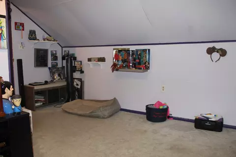 317 Park, Lacon, IL 61540 photo 17