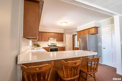 509 E Mount Vernon St, Metamora, IL 61548 photo 8