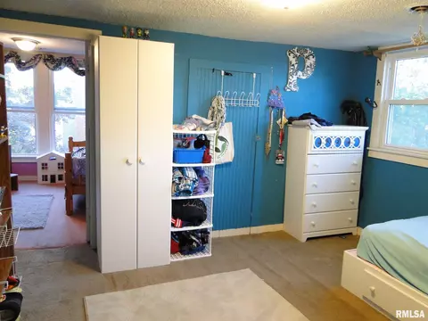 522 E Davis St, Bushnell, IL 61422 photo 19