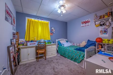 8408 W Fawn Ridge Ln, Mapleton, IL 61547 photo 33