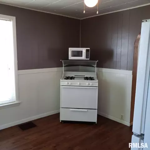206 N Central Ave, Saint David, IL 61563 photo 37