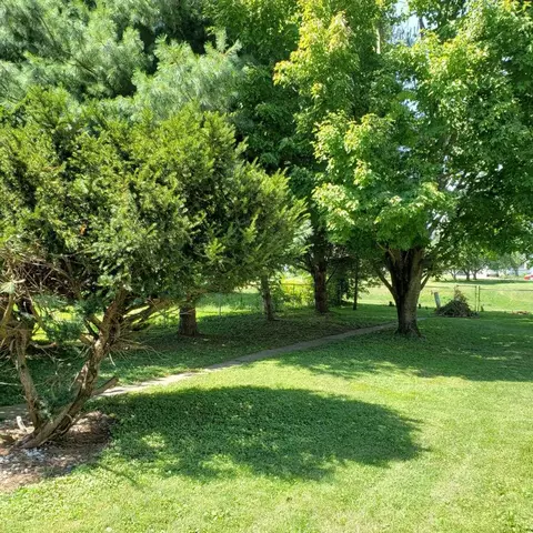 206 N Central Ave, Saint David, IL 61563 photo 30