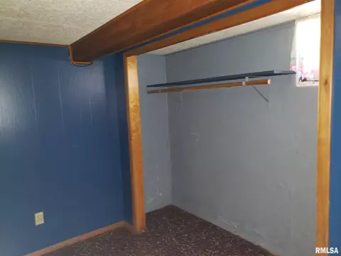 573 N 3rd Ave, Canton, IL 61520 photo 39