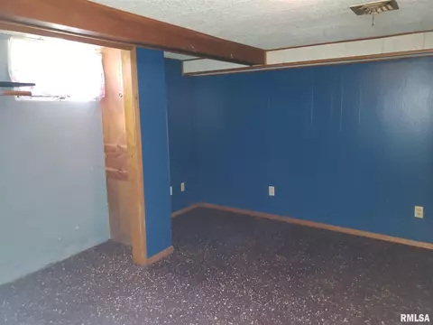 573 N 3rd Ave, Canton, IL 61520 photo 38