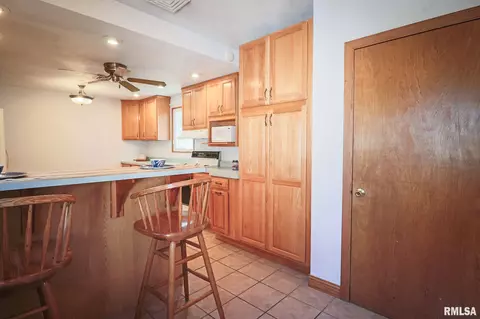 1312 3rd St, Lacon, IL 61540 photo 17