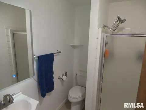 7041 Delavan Rd, Delavan, IL 61734 photo 29