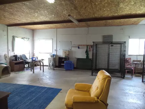 7041 Delavan Rd, Delavan, IL 61734 photo 36