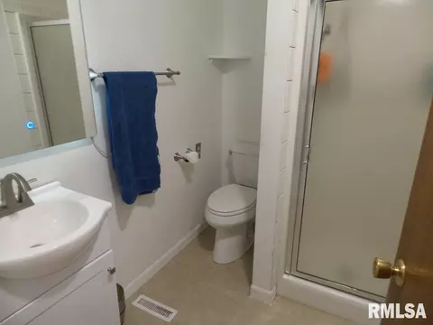 7041 Delavan Rd, Delavan, IL 61734 photo 28