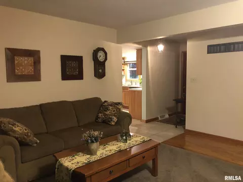 224 E Yeiser St, Macomb, IL 61455 photo 15