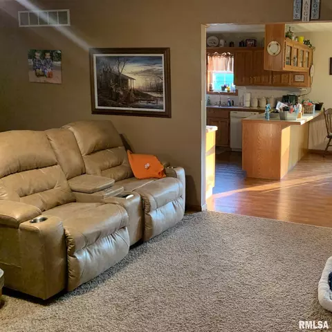 10109 S Kingston Mines Rd, Mapleton, IL 61547 photo 13