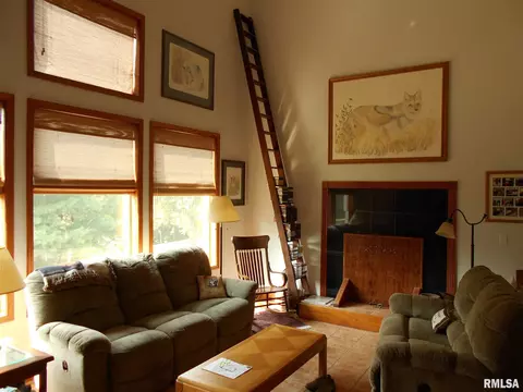 337 Lake View Dr, Avon, IL 61415 photo 5