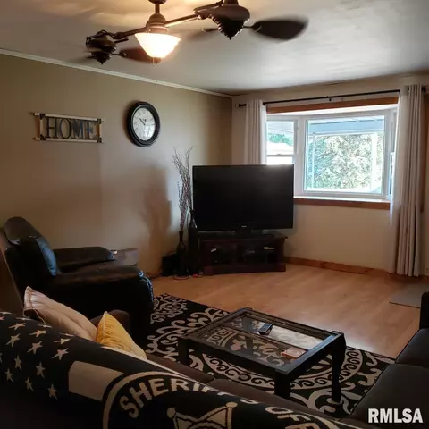 511 E Ash St, Canton, IL 61520 photo 9