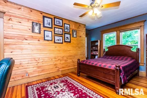 701 W 3rd St, Delavan, IL 61734 photo 30